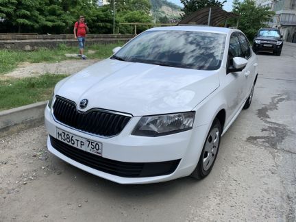 Аренда прокат Skoda Octavia  - купить на сайте объявлений Сочи онлайн