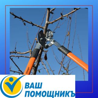 Разнорабочие на обрезку деревьев  - купить на сайте объявлений Краснодар онлайн