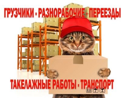 Грузчики и Разнорабочие  - купить на сайте объявлений Сочи онлайн