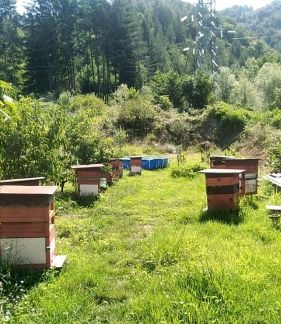 Продажа мёд  - купить на сайте объявлений Сочи онлайн