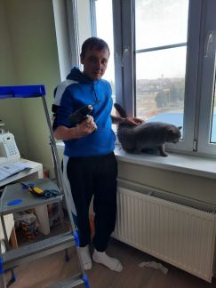 Ремонт окон  - купить на сайте объявлений Краснодар онлайн