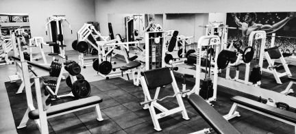Тренажерный зал Animal GYM 2.0  - купить на сайте объявлений Севастополь онлайн