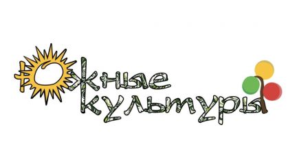 Реализатор на чай, восточные сладости  - купить на сайте объявлений Сочи онлайн