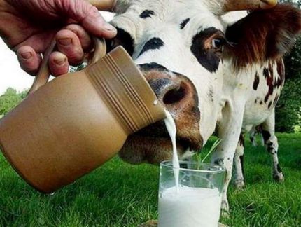 Вкусное домашнее молоко  - купить на сайте объявлений Краснодар онлайн