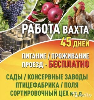 На консерв. завод в Новоминскую требуются рабочие  - купить на сайте объявлений Славянск-на-Кубани онлайн