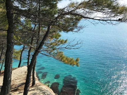 Экскурсии индивидуальные Геленджик  - купить на сайте объявлений Геленджик онлайн