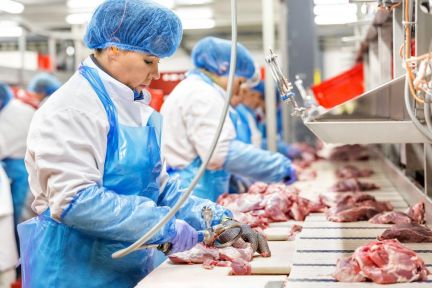 Требуются работники на птицефабрику Крым  - купить на сайте объявлений Симферополь онлайн