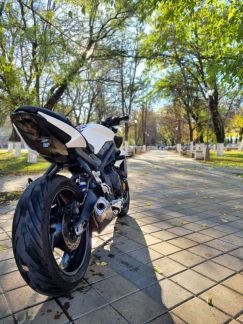 Triumph street triple 675  - купить на сайте объявлений Армавир онлайн