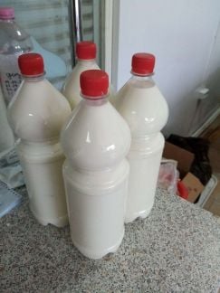 Домашние молоко  - купить на сайте объявлений Староминская онлайн