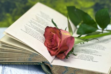 Поздравления, стихи на заказ  - купить на сайте объявлений Геленджик онлайн