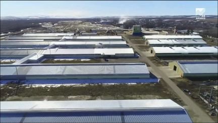 Сварщик  - купить на сайте объявлений Крым онлайн