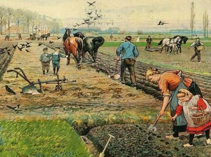 Полевой работник  - купить на сайте объявлений Лабинск онлайн