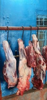 Продам мясо Говядина  Армавир