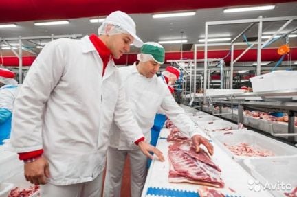 Разнорабочий на мясокомбинат  - купить на сайте объявлений Каневская онлайн