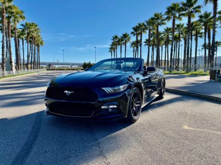 Прокат / Аренда кабриолета Ford Mustang Black  - купить на сайте объявлений Сочи онлайн