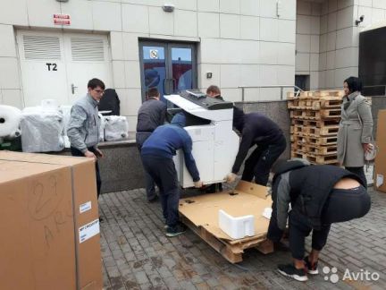Грузчики Краснодар/разнорабочие/газели/подача от 3  - купить на сайте объявлений Краснодар онлайн