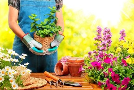 Продавец-растениевод  - купить на сайте объявлений Кропоткин онлайн