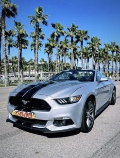 Прокат кабриолета Ford Mustang  - купить на сайте объявлений Сочи онлайн