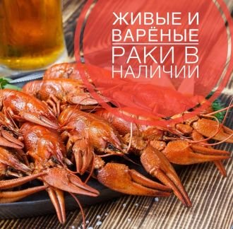 Раки  - купить на сайте объявлений Армавир онлайн