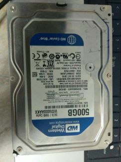 Жесткий диск WD 500 Gb  Армавир