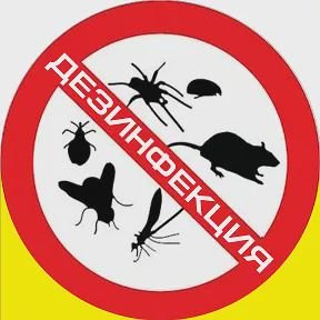Уничтожение насекомых и грызунов  - купить на сайте объявлений Армавир онлайн