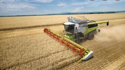 Уборка урожая 2021  - купить на сайте объявлений Кущевская онлайн